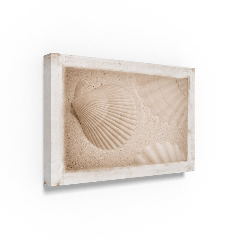 «White Shells and Sand», reproduction de photo sur toile tendue, H 12 po x l 19 po