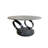 Ashneel Extendable Pedestal Coffee Table