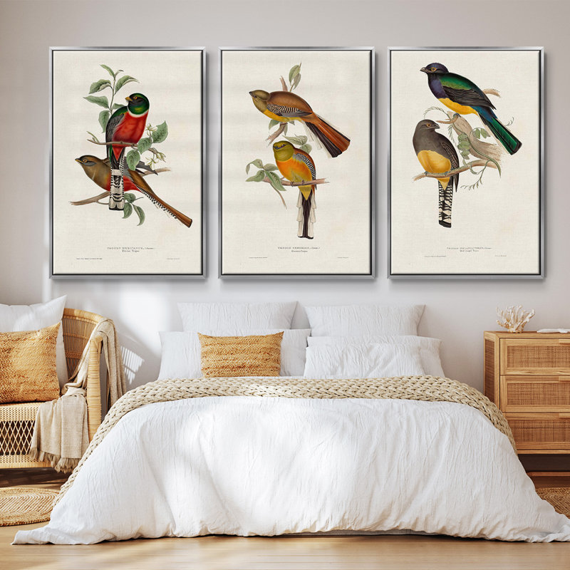 Elegant Trogons I 3 pièces, H 40 po x l 78 po, Argent