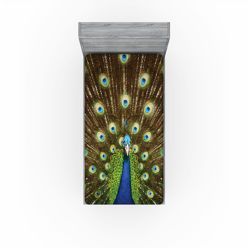 Ensemble de 2 drap-housse colorés avec plumes Ambesonne, Drap-housse de taille simple