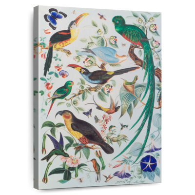 Brampt Exotic Parrots 1850