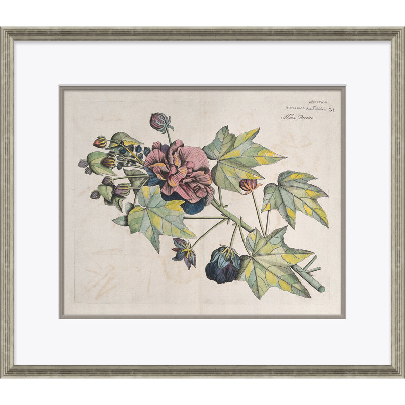 Malaberica (Colored) Giclee Print by Paul Cezanne