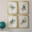 «Spring Song Blue Bird», ensemble de 4 peintures sur toile encadrées-2102496441-2102496442