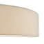 Derbyshire Plastic Flush Mount-1505582033