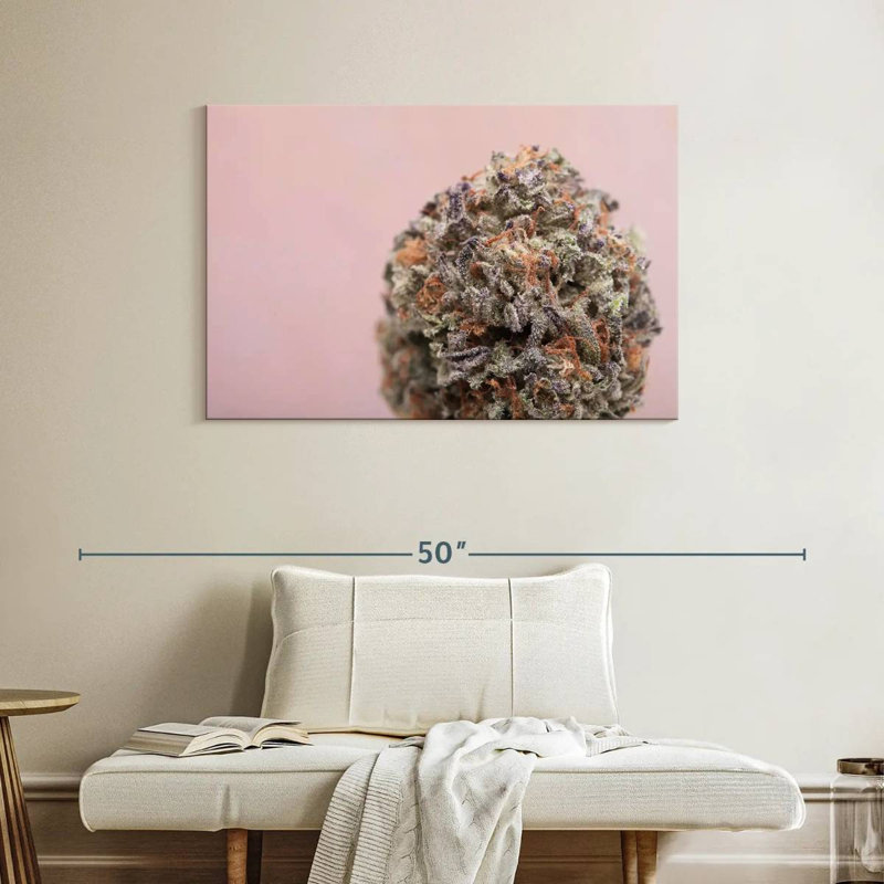 Bud Of Marijuana, 26" H x 39" W