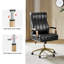 Conan 63.5cm W Mid-Century Modern Office Chair with Height Adjustable-1551721629