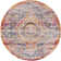 Oriental Indoor Rug