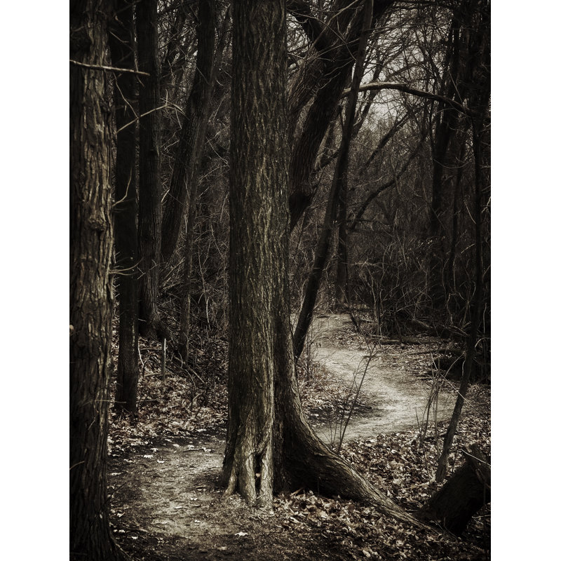 Dark Winding Path Print by Scott Norris, 21.25" H x 17.25" W x 0.875" D