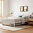 Rosenthal Solid Wood Trundle Bed-246431710-246253846