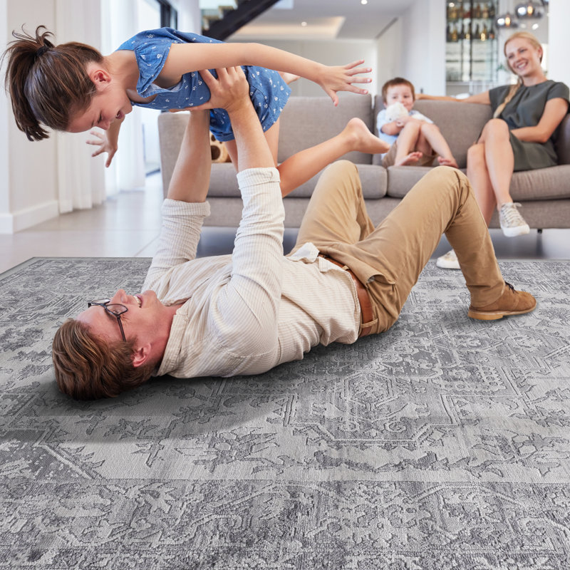 8X10 Silver Area Rug - Stain , Non-Shedding, Add A Stylish Sparkle To Bedroom, Living Room, Dining Room Accent