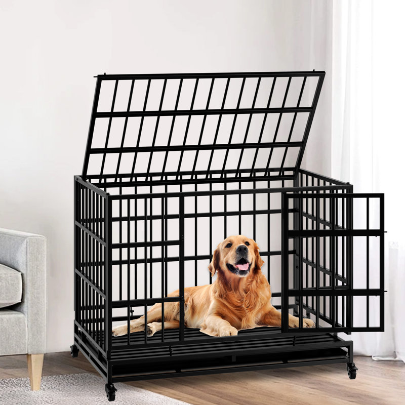Cage pour chien robuste de 48 pouces avec roulettes, idéale pour les moyennes et grandes races, simple à monter, pliable - Cage indestructible