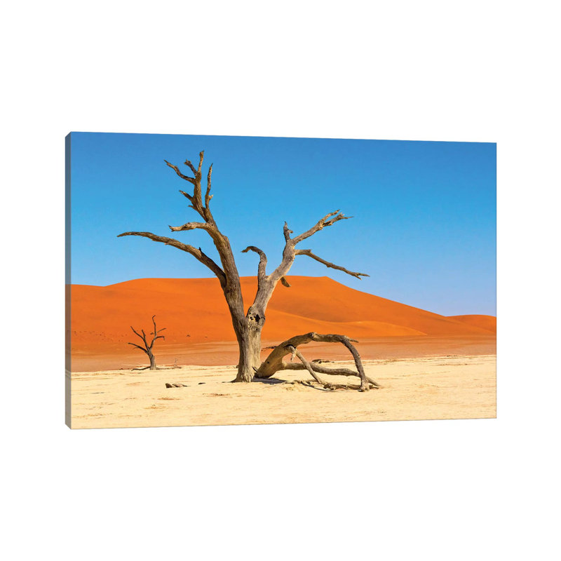 Dead acacia trees in Deadvlei, Sossusvlei, Namib-Naukluft National Park, southern Narim Desert 1 Piece Wrapped Canvas Painting