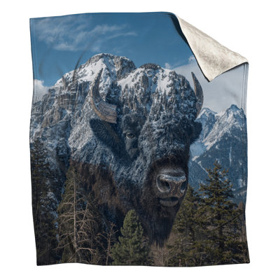Mountain Bison Illusion Blankets