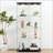Modern Glass Display Cabinet With LED Lights
