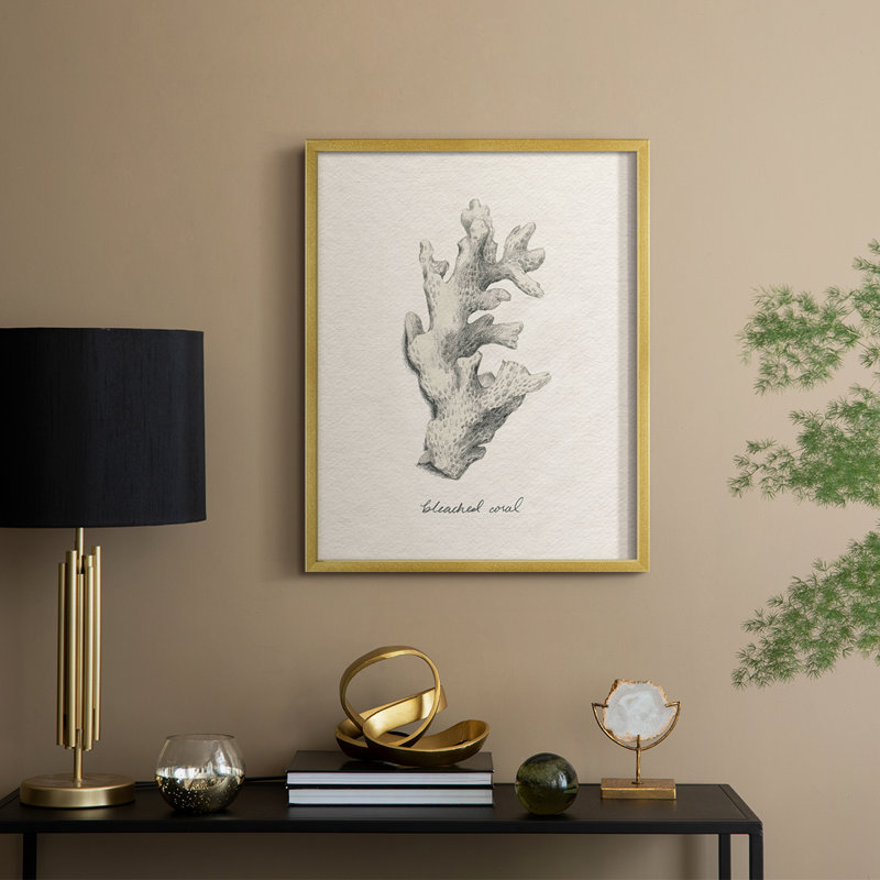 Shore Treasure Study II, reproduction encadrée - bois massif, H 11 po x l 9 po, Doré