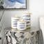 Ceramic / Porcelain Canister