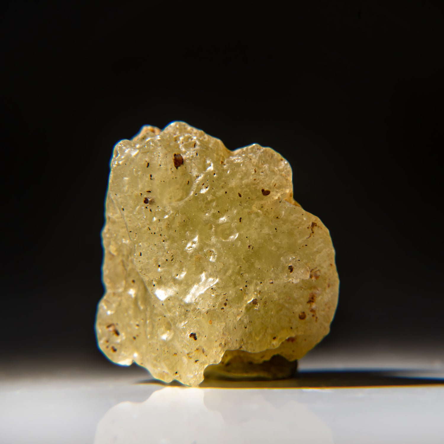 Astro Gallery Of Gems Genuine Libyan Desert Glass 31 Grams Wayfair   Genuine Libyan Desert Glass 31 Grams 