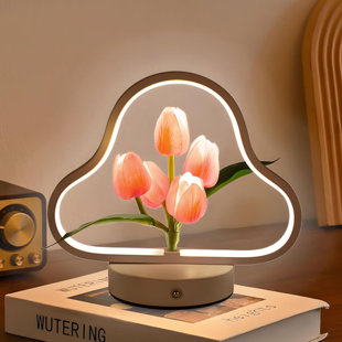 Three Color Cloud And Mist Night Light