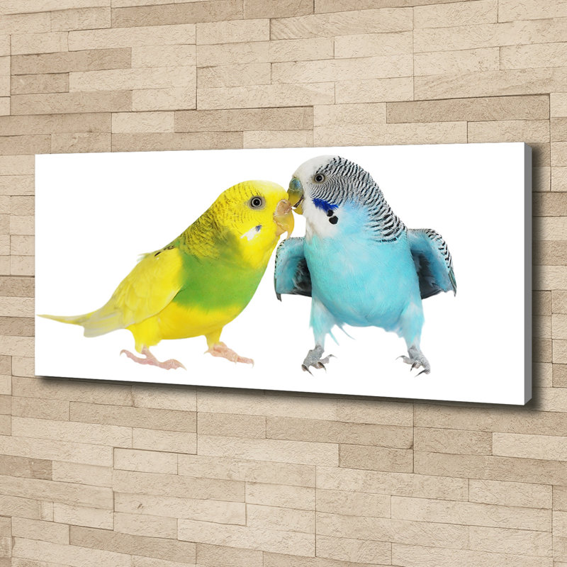 Budgies - No Frame Print on Canvas