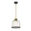 Luminaire suspendu en forme de dôme à 1 lumière Decoteau-632170807