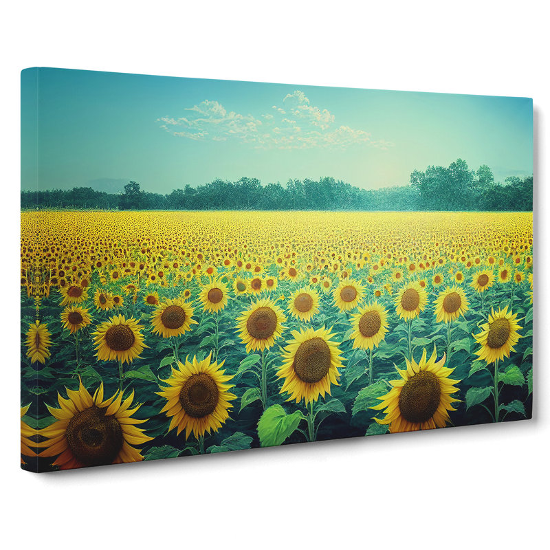 Captivating Sunflower Field - Wrapped Canvas Print, 40cm H x 60cm W x 3cm D