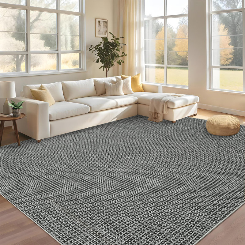 Modren Machine Washable Rug for Living Room Tiny Plaid Indoor Carpet for Home Decor Aesthetic Non-Slip Rug for Bedroom Dining Room Office Nursery Playroom Teen Dorm