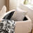 29.9"Wide 2 - Piece Upholstered Storage Ottoman Set-994590105