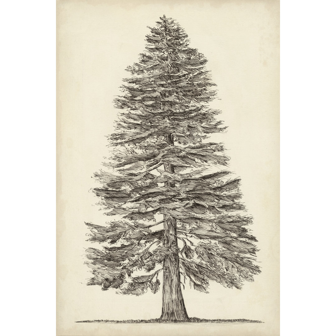 Pacific Northwest Tree Sketch I by Melissa Wang - Wrapped Canvas Art Prints