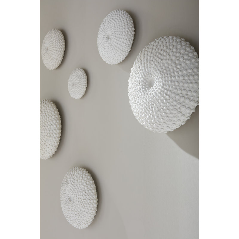 Sea Urchin Wall Art, Set Of 4