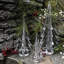 Spruce Evergreen-75249383