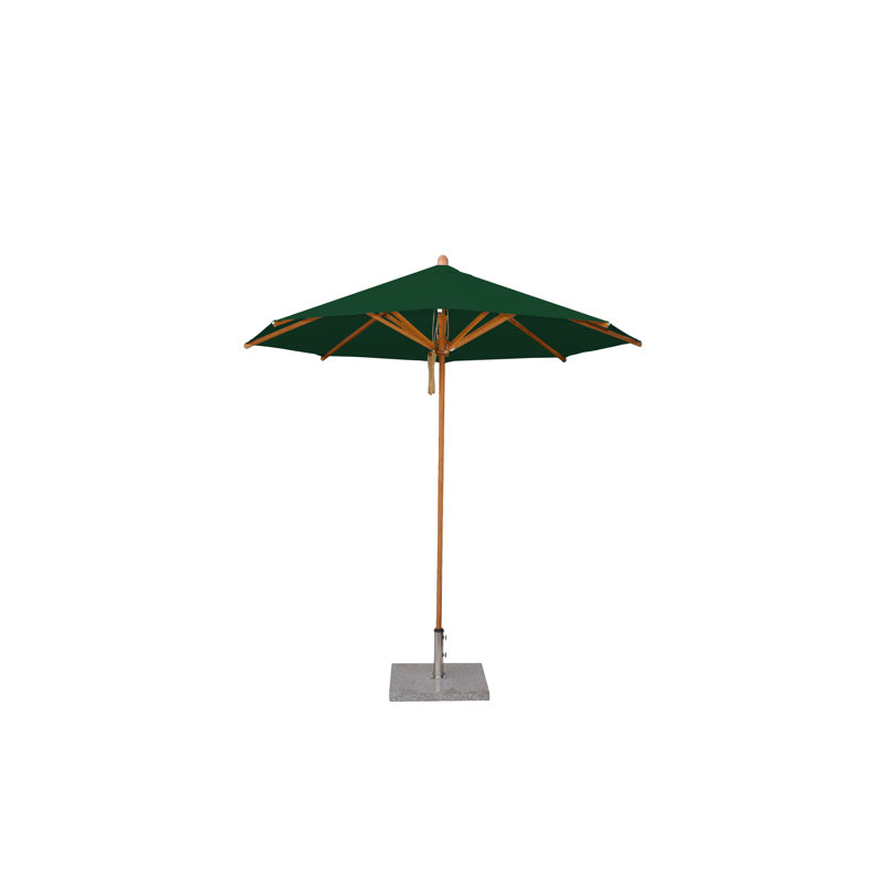 Parasol de marché Pursley, Vert, L 102 po x P 102 po