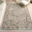 Cady SpinClean Machine Washable Transitional Area Rug-523760081