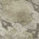 Premium Machine Washable Cerrito AMF564 Beige Rug