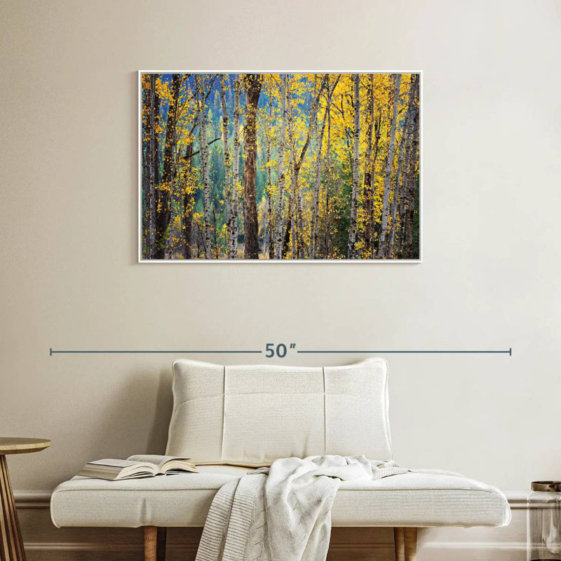 Kootenay Fall II, Cadre flottant blanc, 37 po x 25 po