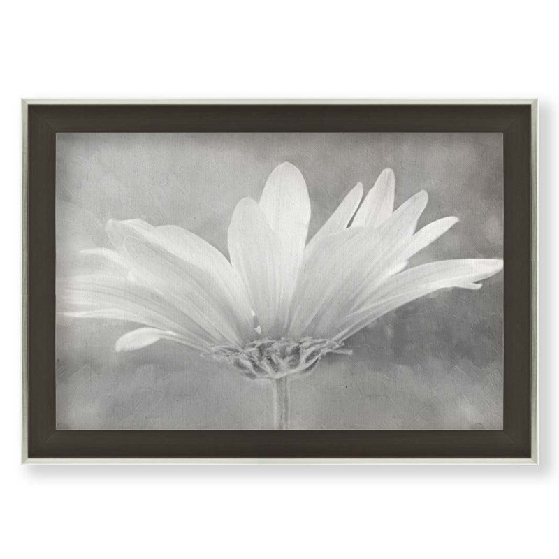 Marguerite peinte dans des tons de gris par Hal Halli. Impression sur papier - Montée et encadrée, H 44 po x l 64 po