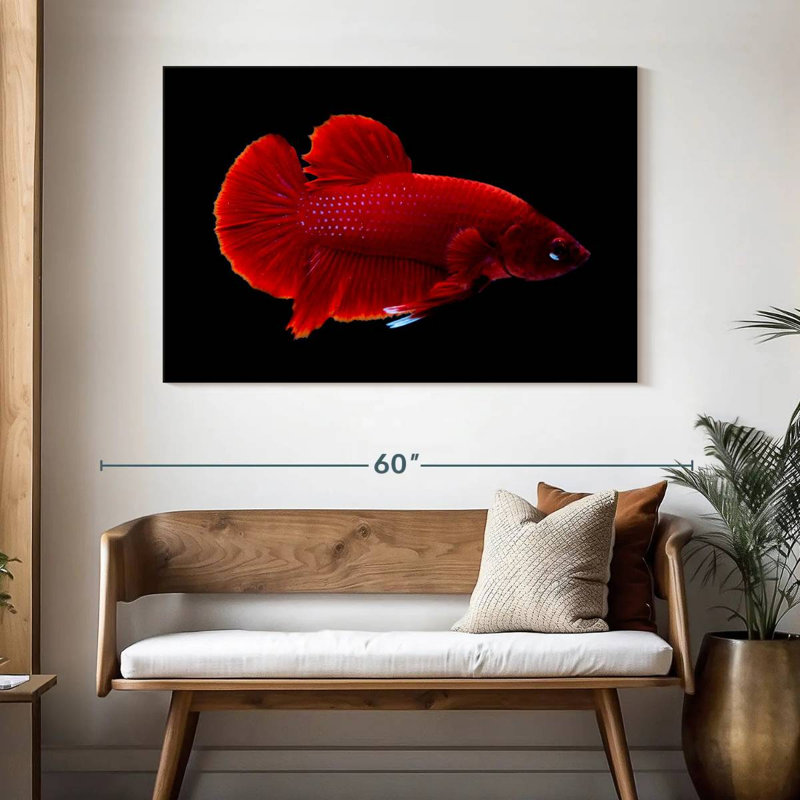 Brampt Vibrant Red Betta, 32'' H x 48'' W