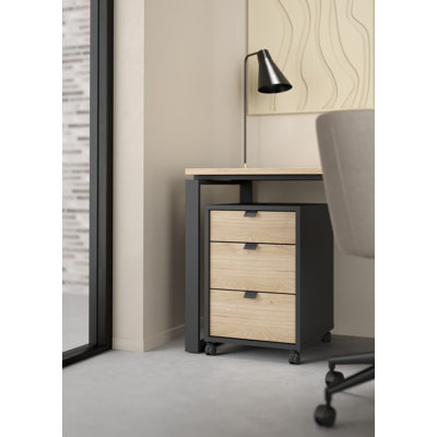 Embrie 16.06'' Wide 3 -Drawer Mobile File Cabinet