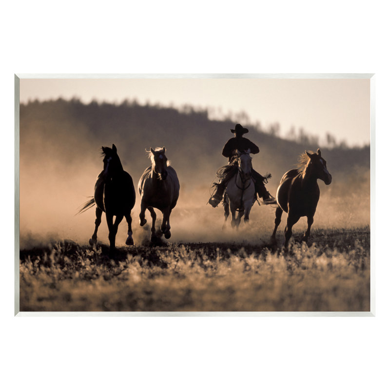 Ba-320-Cowboy du sud-ouest au coucher du soleil par Danita Delimont, H 13 po x l 19 po x P 0,5 po
