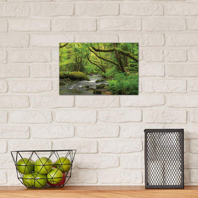 Fairytale Forest by Adam Burton - Wrapped Canvas Print