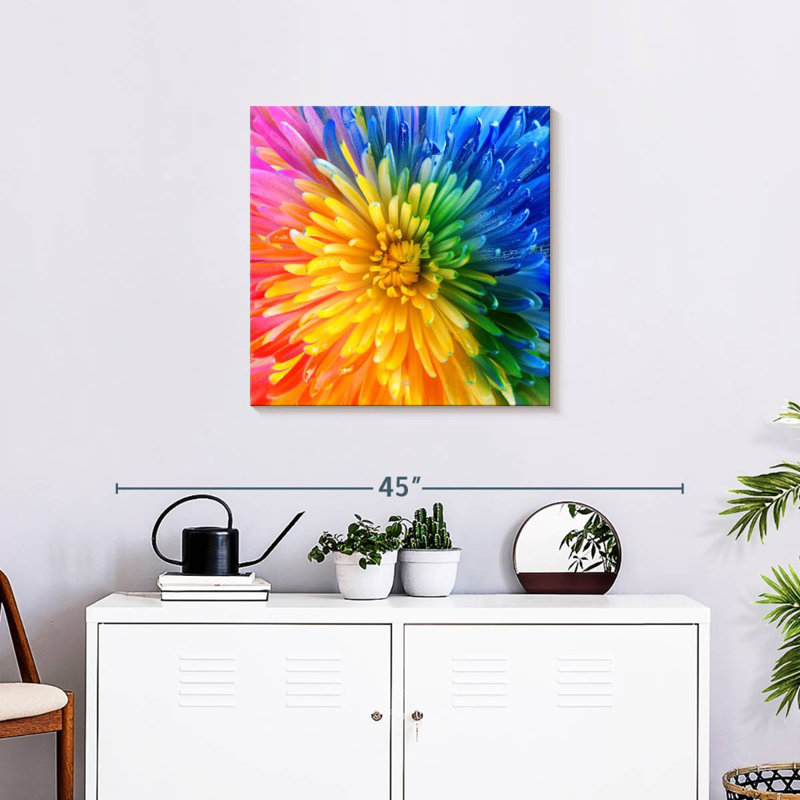 Harnek Rainbow Colored Chrysanthemum