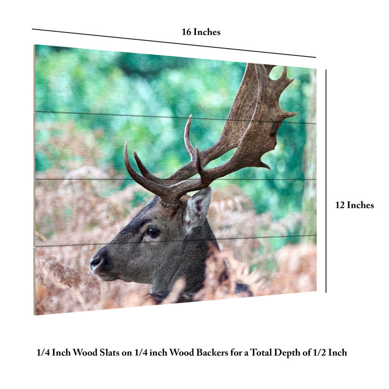 Debmercury   Fallow Stag Deer. Wood Slat Art, H 12 po x l 16 po
