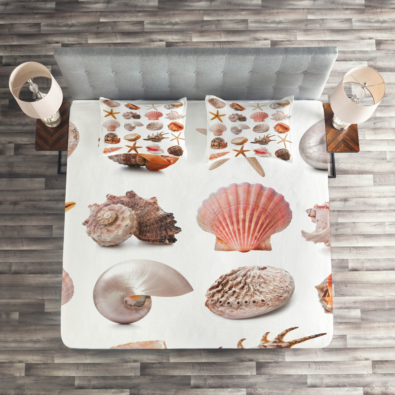 Seashells Coastal Coverlet