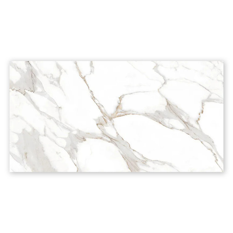 Veneto 23.6 In. X 47.2 In. Polished Porcelain Rectangle Wall And Floor Tile (15.5 Sq Ft/Case) - 2 Sheets