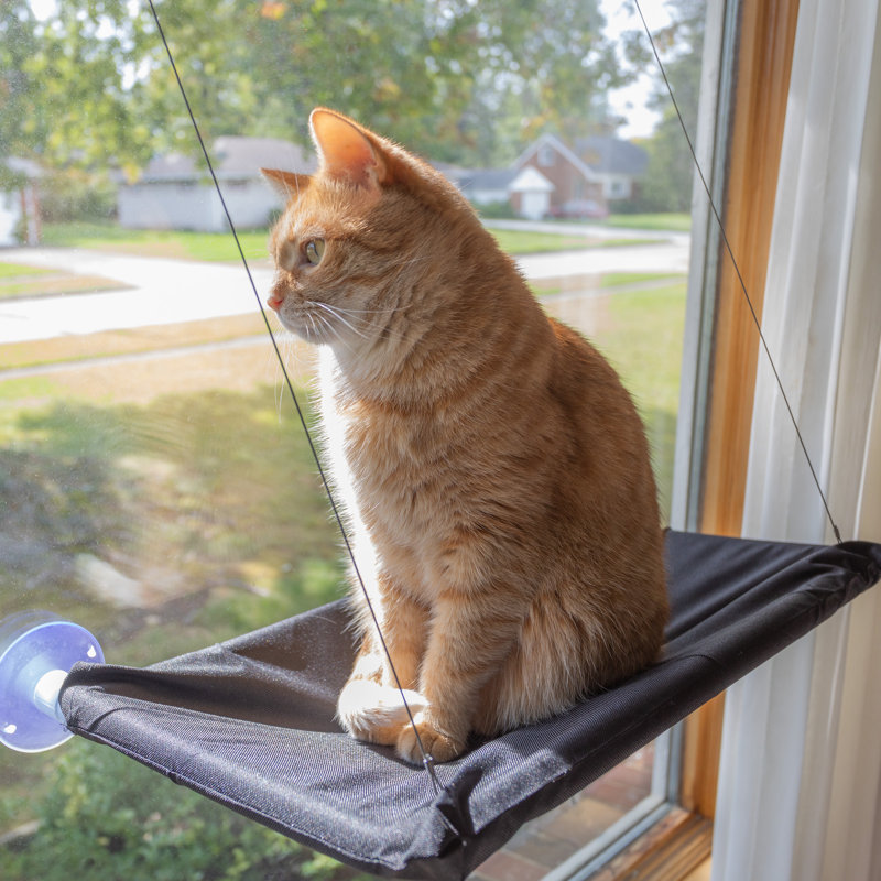 Black Oxford Cloth Cat Window Perch with Suction Cups