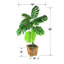 40 pouces Monstera dans un panier carré