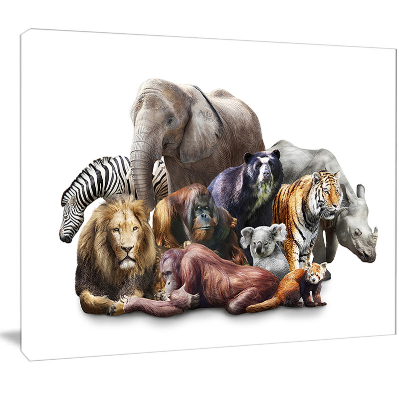 « animaux sur fond blanc », impression sur toile tendue, H 12 po x l 20 po