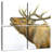 Brampt Majestic Elk Brown Crop