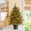 3' Pre-Lit Spruce Christmas Tree - The Holiday Aisle®