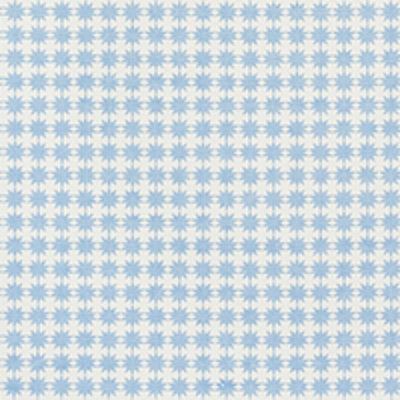 Schumacher x Studio Bon Stella Fabric