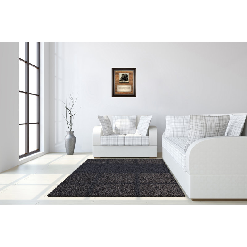 Art mural Solitude Grove - 22 po x 26 po - Cadre chocolat noir